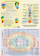 Poster A3 Chakra's symboliek en associaties