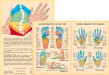 Kaart, A4 Reflexzones van hand en voet
