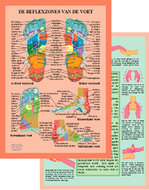 Kaart, B5 Reflexzones voor de voet