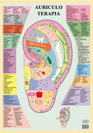 Poster Auriculo Terapia