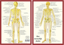 Kaart-A4-Skelet